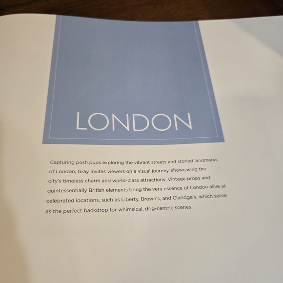 Gray Malin: Dogs: Photographs | EUC Coffee Table Book Canine Photography - Picture 11 of 12